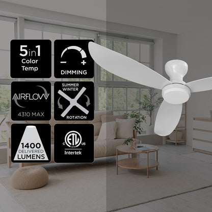 AFX Lighting Banks 1Lt 52" 3 Blade LED Fan, WH/FR/Remote