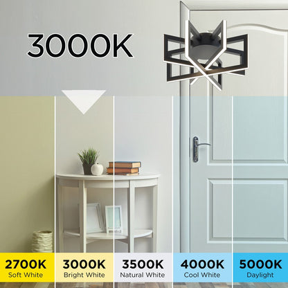 AFX Lighting Cass Ceiling Light