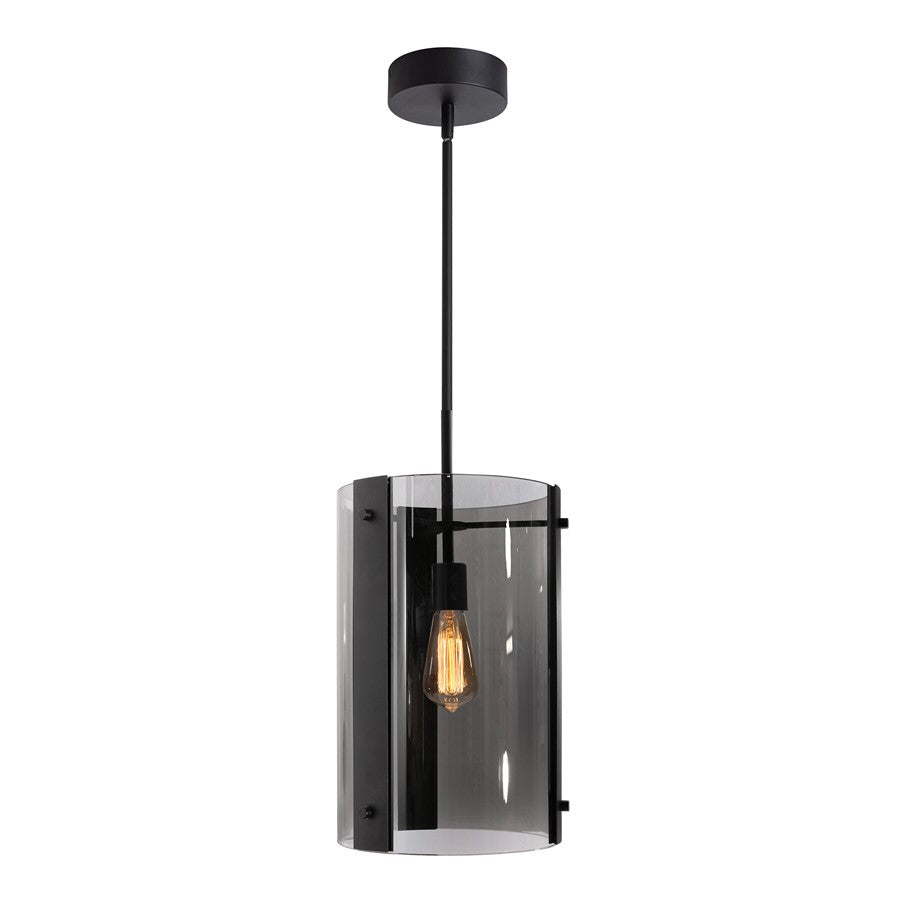 AFX Lighting Dana 1LT 10" Pendant, Black/120V/Smoke