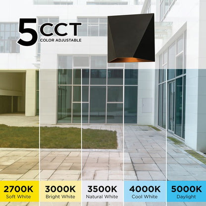 1 Light Outdoor Wall Sconce