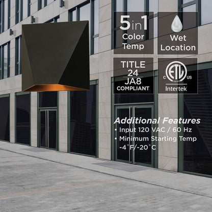 1 Light Outdoor Wall Sconce