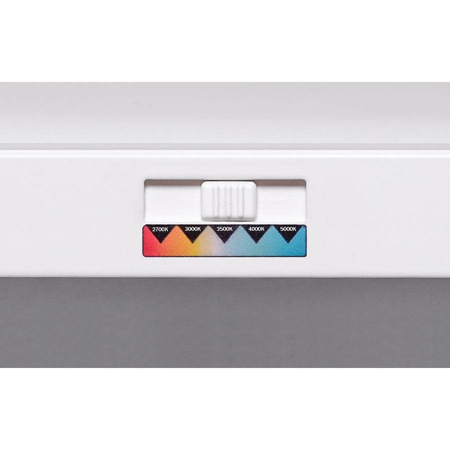 AFX Lighting Lugano 1LT 48"x24" LED Flush Mount, White/Frosted