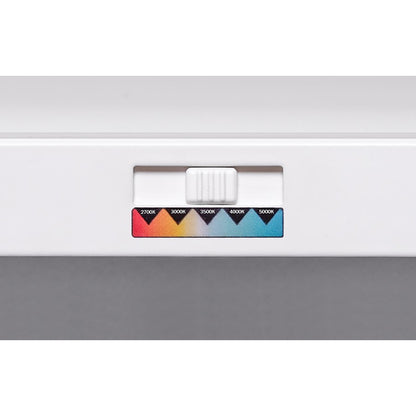 AFX Lighting Lugano 1LT 48"x24" LED Flush Mount, White/Frosted