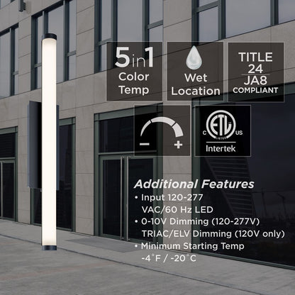 AFX Lighting Path 1Lt 36" LED Outdoor Sconce, Black/Frosted