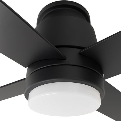 AFX Lighting Ross 1Lt 52" 4 Blade LED Fan, BK/FR/Remote