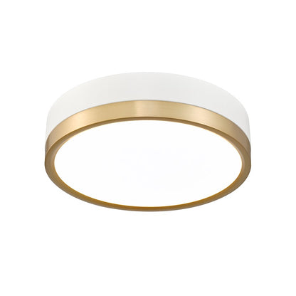 Z-Lite Algar 1 Light 12" Flush Mount, White/Gold/Frosted