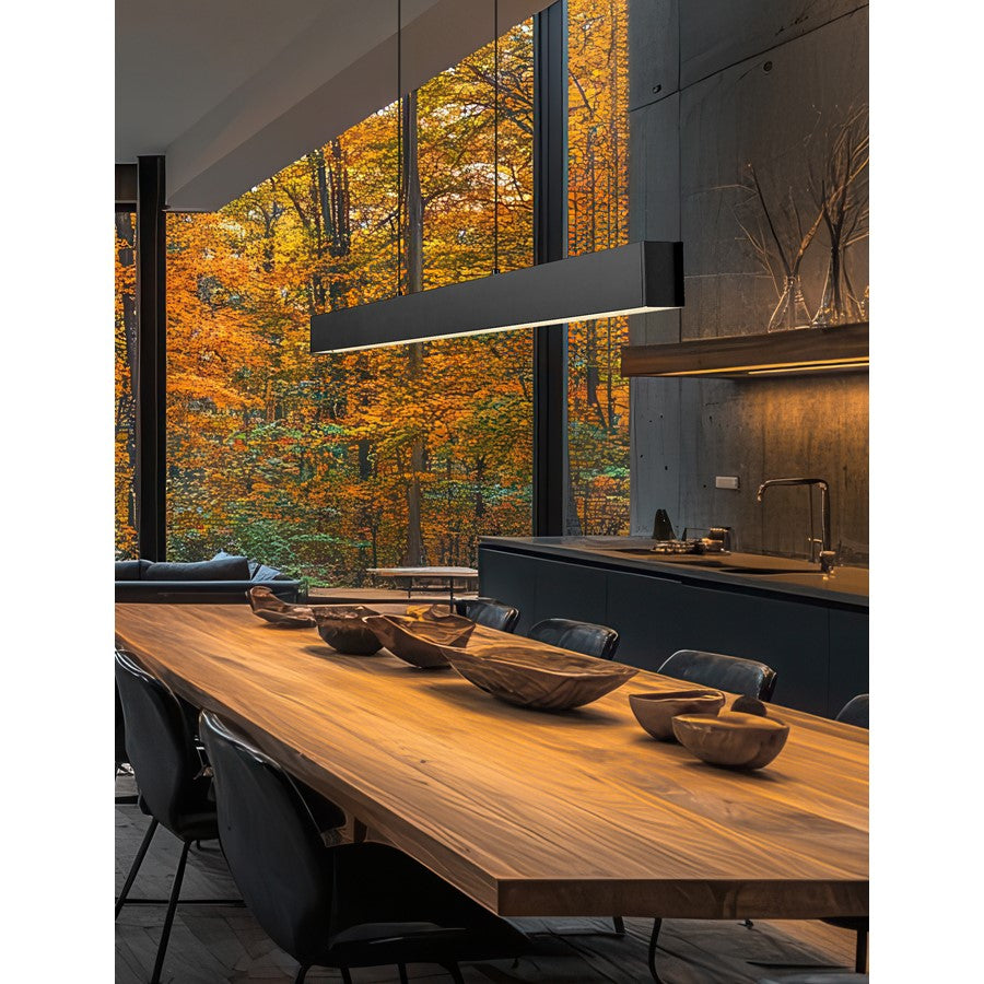 Z-Lite Hudson 1 Light Linear Chandelier, Matte Black/Frosted