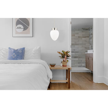 1 Light 10" Pendant, Polished Nickel