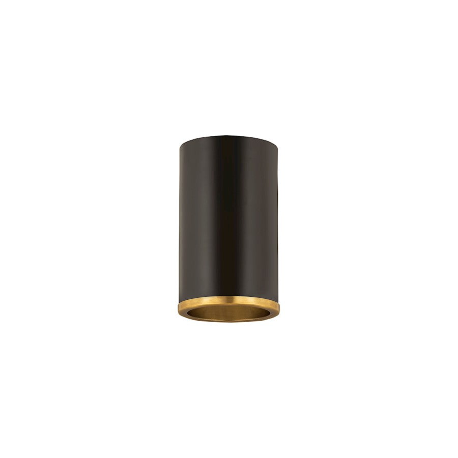 Z-Lite Arlo 1 Light Flush Mount