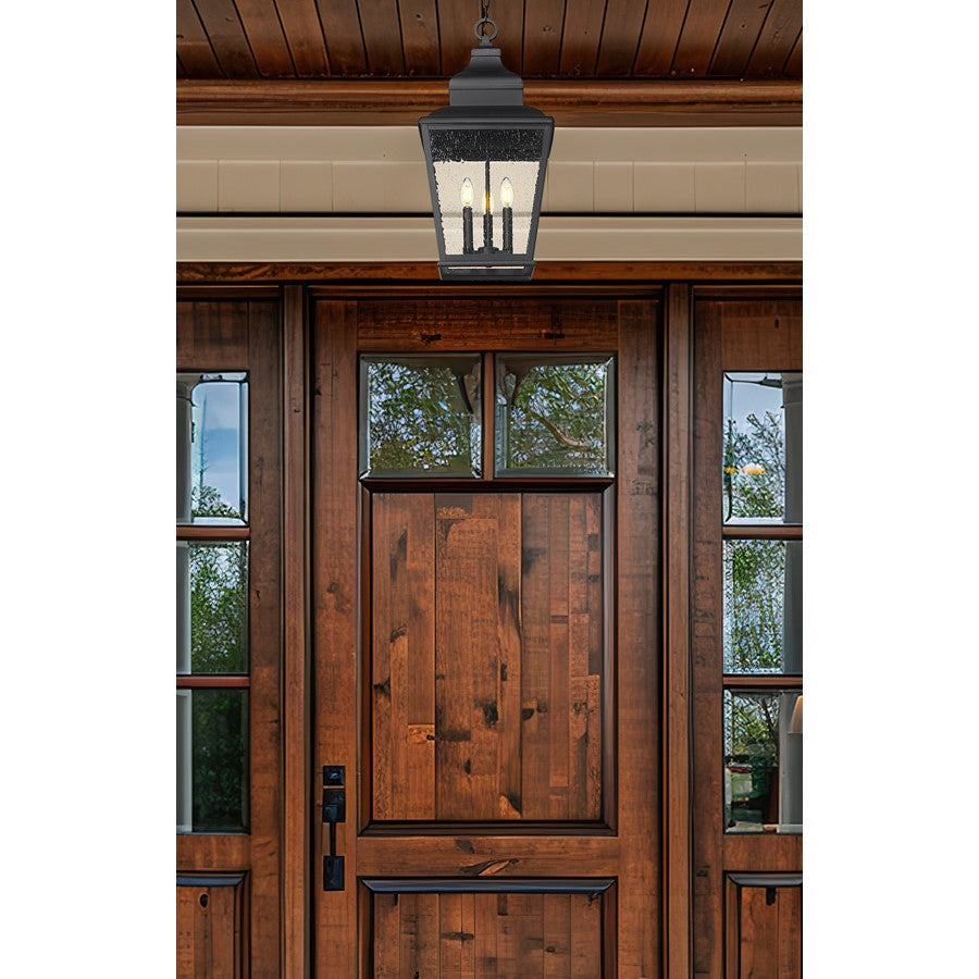 Z-Lite Raphael 3Lt Outdoor Chain Mount Ceiling, Black/Clear Seedy