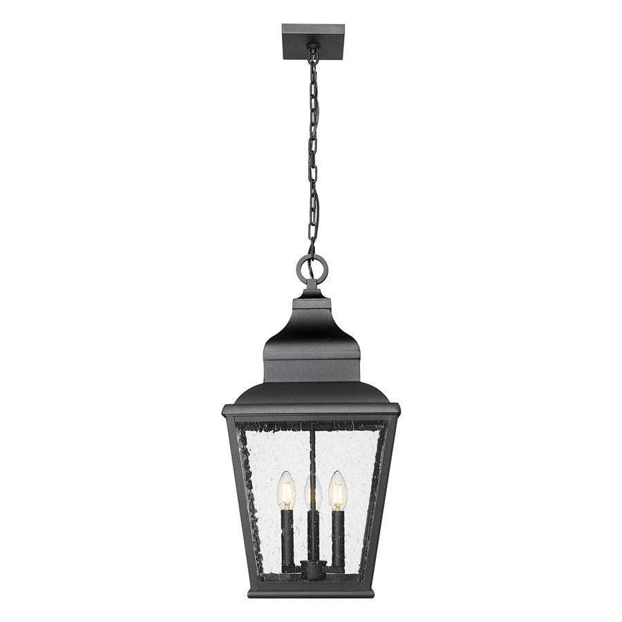 Z-Lite Raphael 3Lt Outdoor Chain Mount Ceiling, Black/Clear Seedy