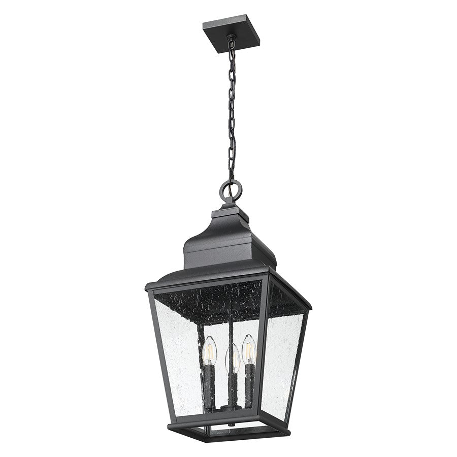 Z-Lite Raphael 3Lt Outdoor Chain Mount Ceiling, Black/Clear Seedy