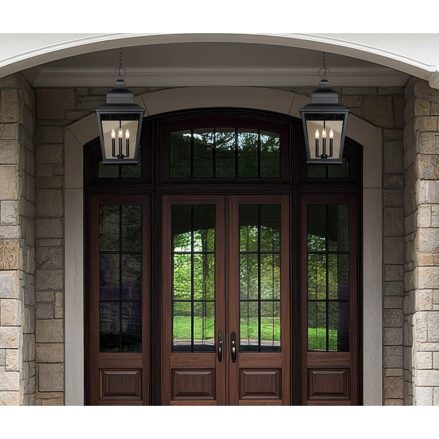 Z-Lite Raphael 4Lt Outdoor Chain Mount Ceiling, Black/Clear Seedy