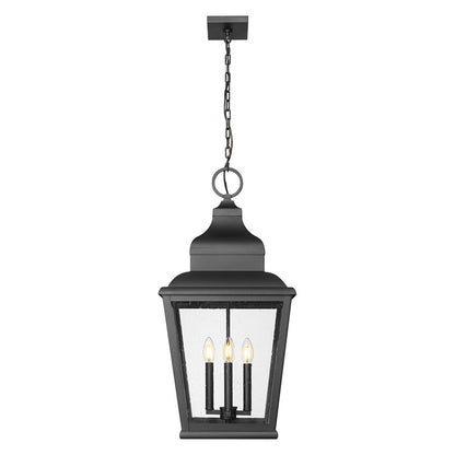 Z-Lite Raphael 4Lt Outdoor Chain Mount Ceiling, Black/Clear Seedy