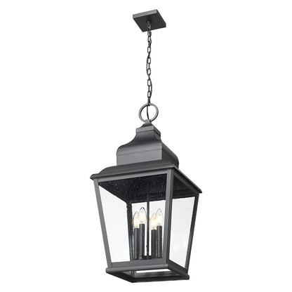 Z-Lite Raphael 4Lt Outdoor Chain Mount Ceiling, Black/Clear Seedy