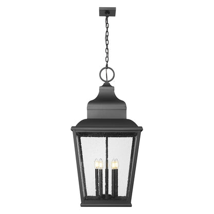 Z-Lite Raphael 5Lt Outdoor Chain Mount Ceiling, Black/Clear Seedy