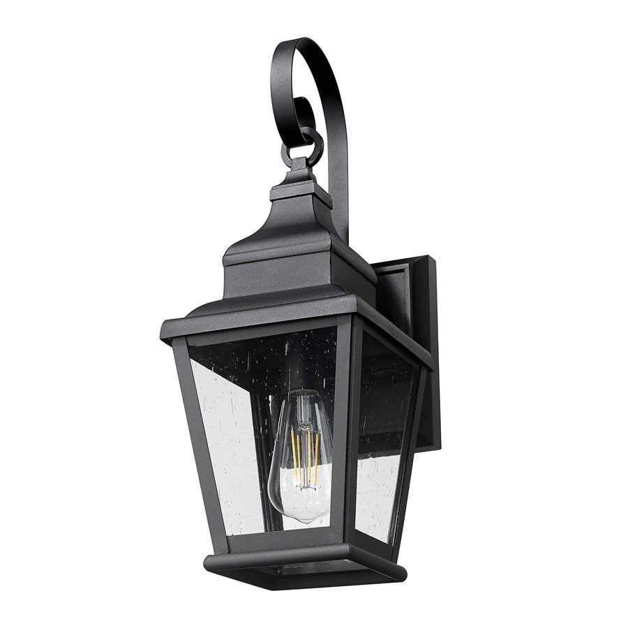 Z-Lite Raphael 1 Light Outdoor Wall Light, Sand Black/Clear Seedy