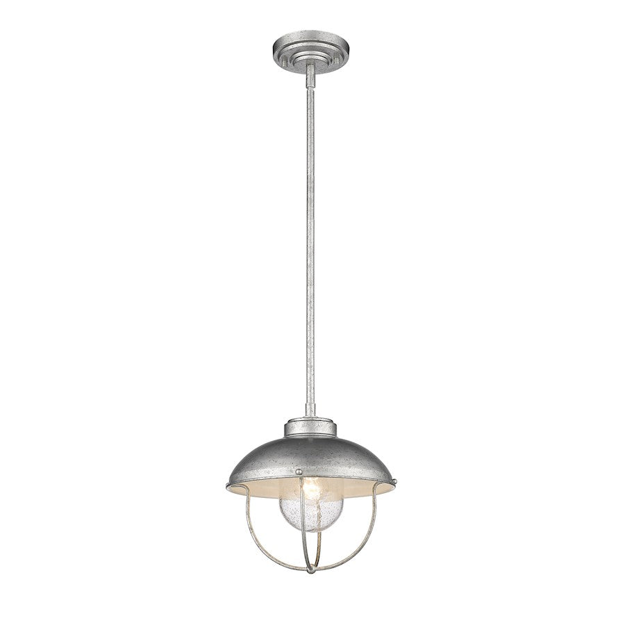 1 Light Outdoor Pendant