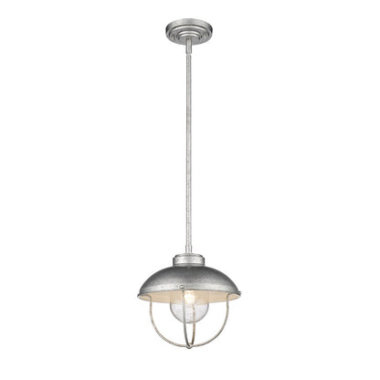 1 Light Outdoor Pendant