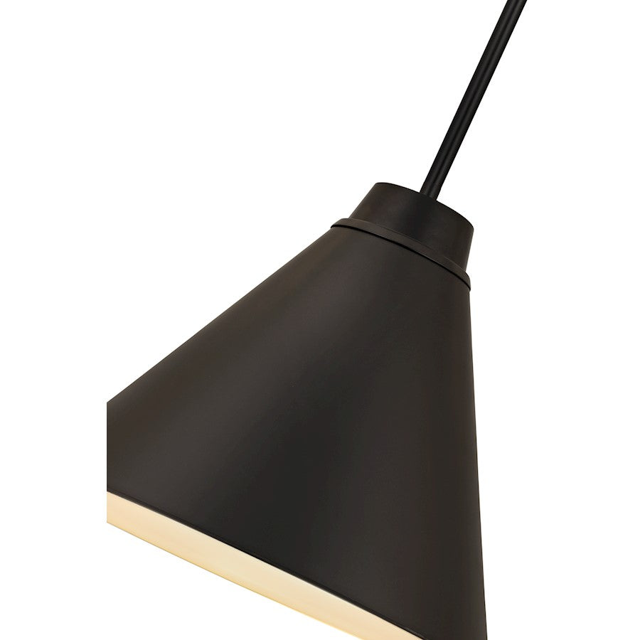1 Light Pendant