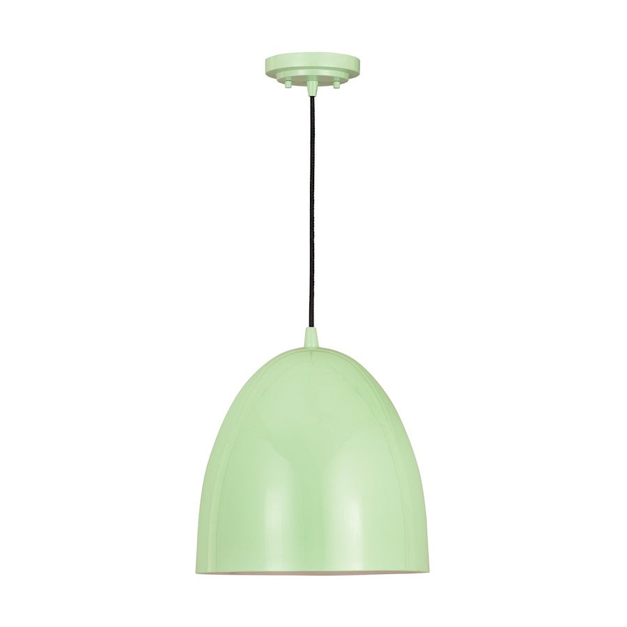 1 Light 9.50" Pendant