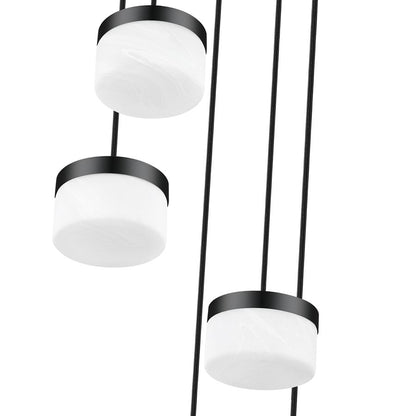 Z-Lite Renaud 5 Light Chandelier, Matte Black/Feathered White