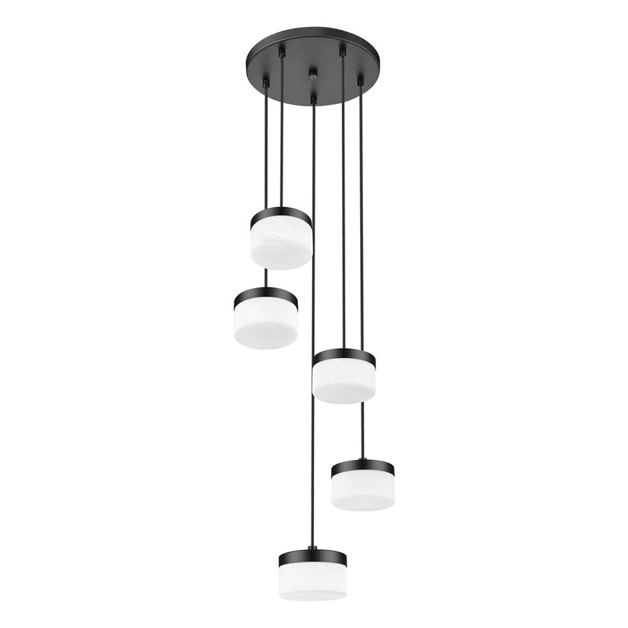 Z-Lite Renaud 5 Light Chandelier, Matte Black/Feathered White