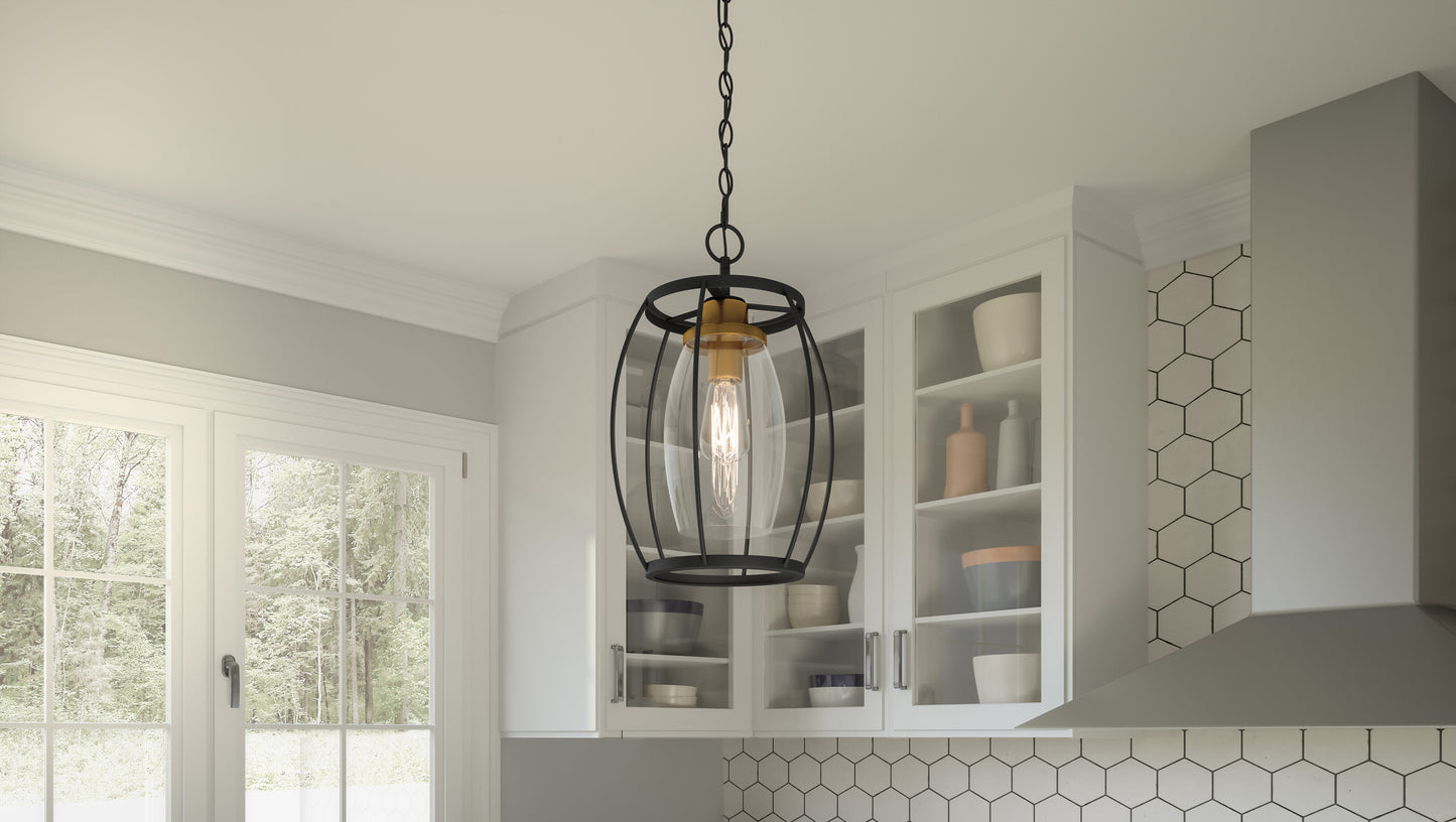 1 Light Mini Pendant, Earth Black