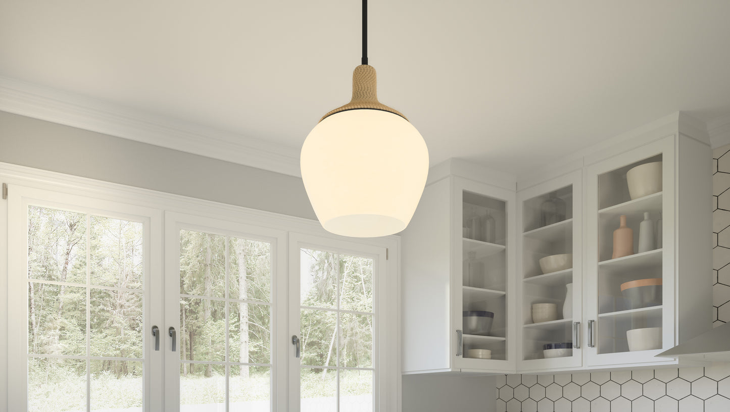 1 Light Mini Pendant, Matte Black