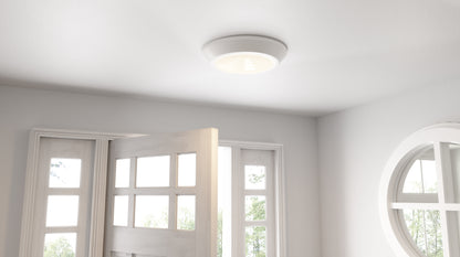 Quoizel Verge Flush Mount