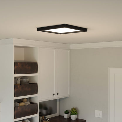 Quoizel Outskirt Flush Mount