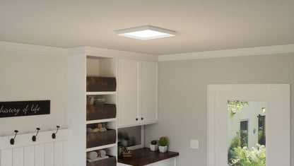 Quoizel Outskirt Flush Mount