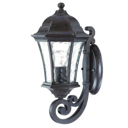 Acclaim Lighting Waverly 1 Light Wall Sconce, Black Coral - 3601BC