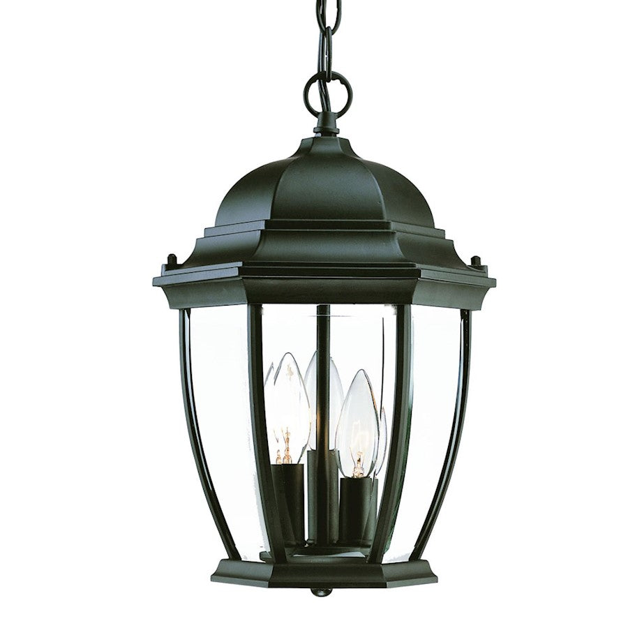 Acclaim Lighting Wexford 3 Light Hanging Light, Matte Black - 5036BK