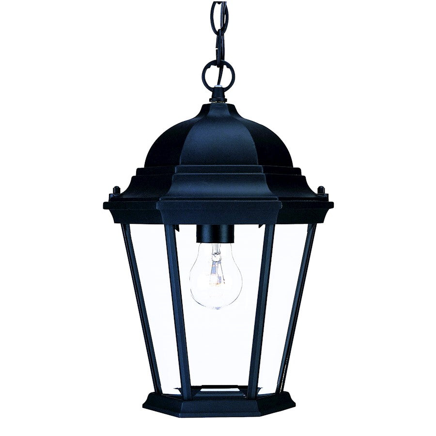 Acclaim Lighting Richmond 1 Light Hanging Light, Black/Clear Beveled - 5206BK