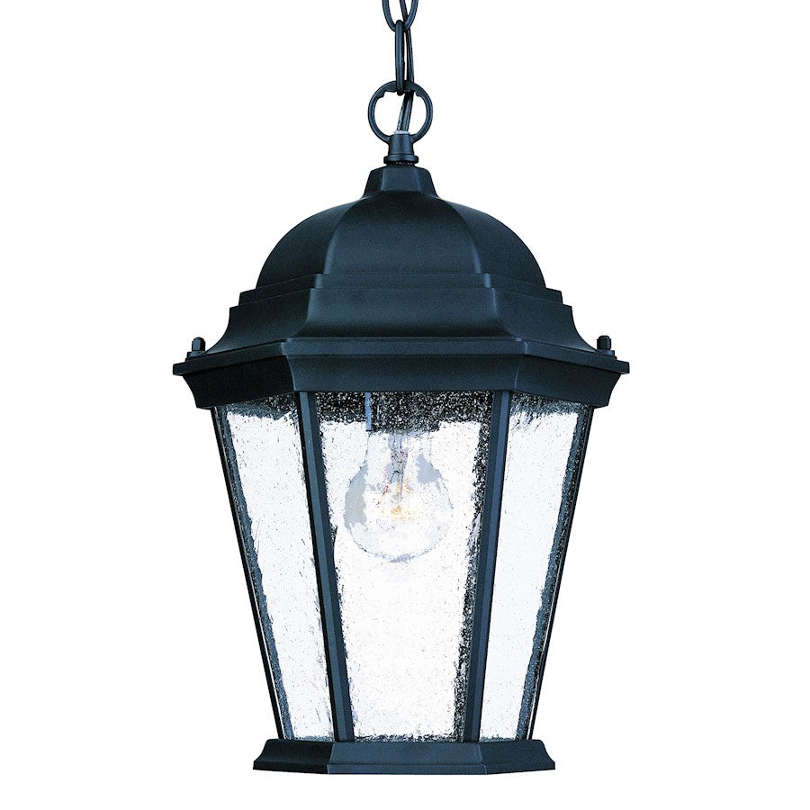 Acclaim Lighting Richmond 1 Light Hanging Light, Matte Black/Seeded - 5206BK-SD