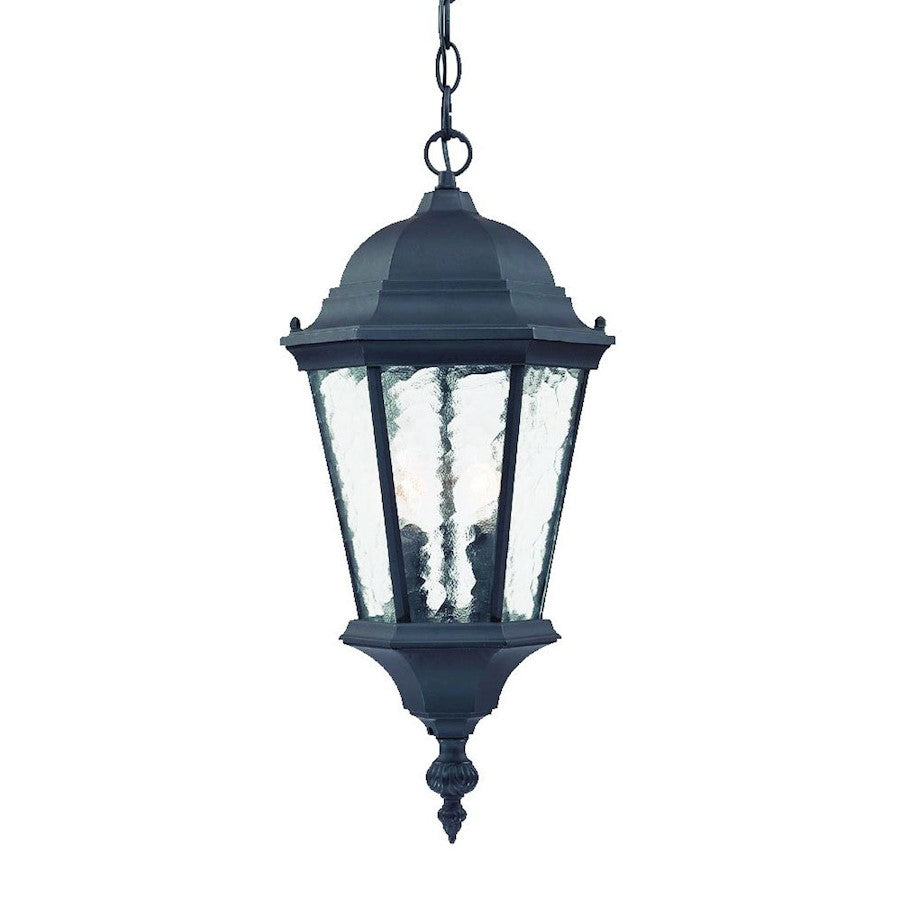 Acclaim Lighting Telfair 2 Light Hanging Light, Matte Black - 5516BK