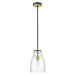 Acclaim Lighting Shelby 1 Light Pendant, Bronze/Brass/Clear Seedy - IN20000ORB