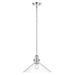 Acclaim Lighting Dwyer 1 Light Pendant, Polished Nickel/Clear - IN20080PN