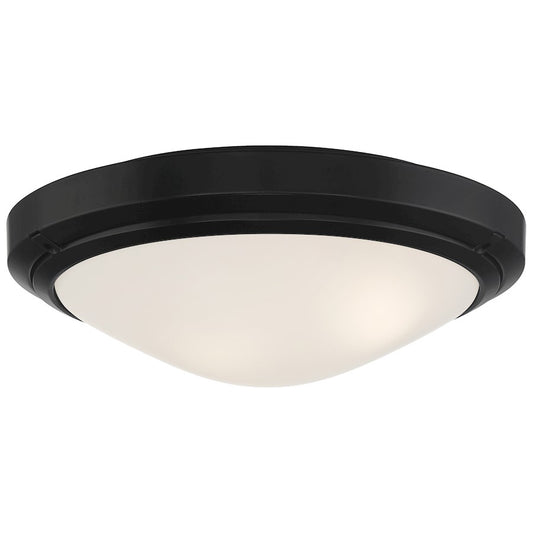 Access Lighting Oceanus 2-Lt Outdoor LED Flush, BK/FR - 20356LEDDMGLP-MBL-FST