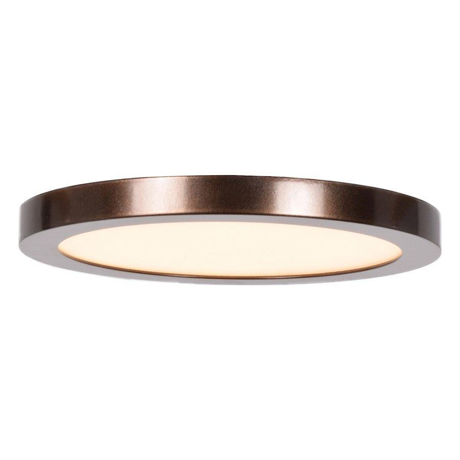 Access Lighting Disc 1 Light Flush Mount