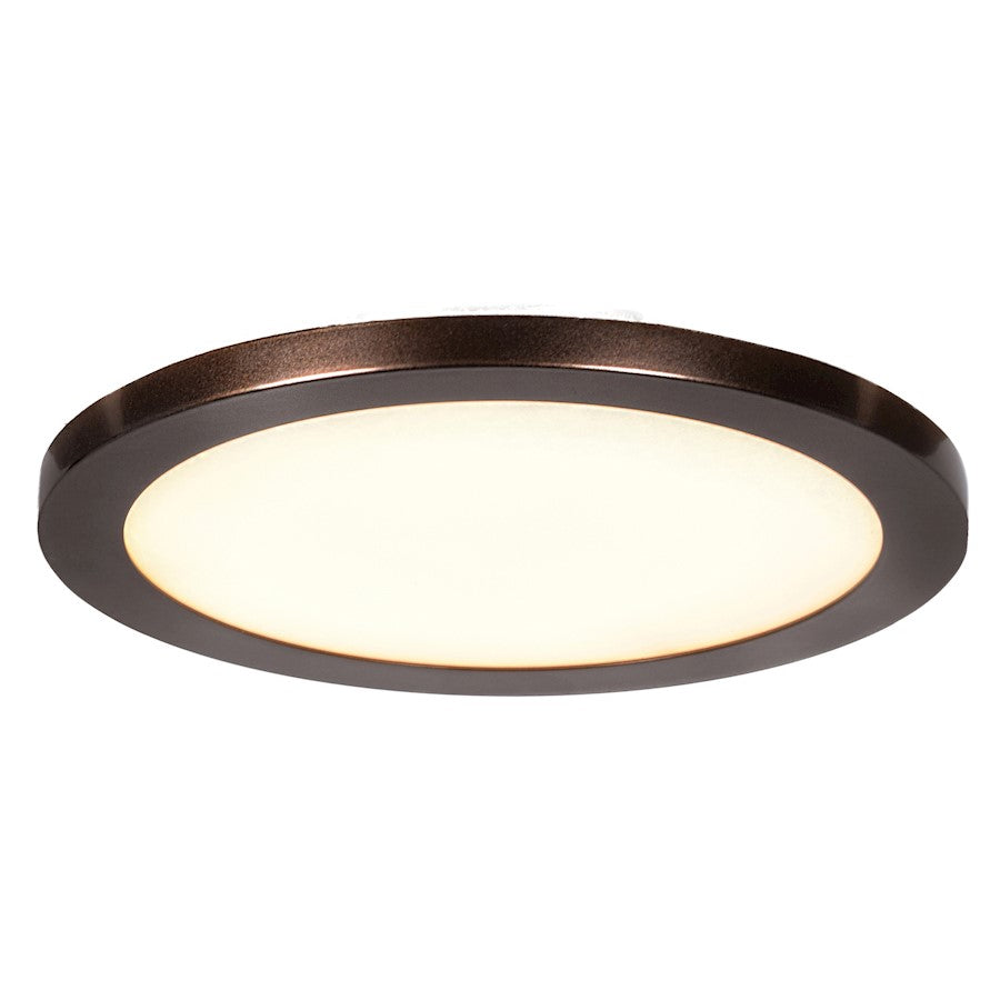 Access Lighting Disc 1 Light Flush Mount