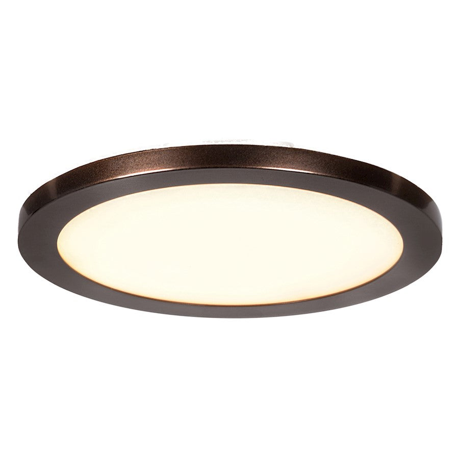 Access Lighting Disc 1 Light Flush Mount