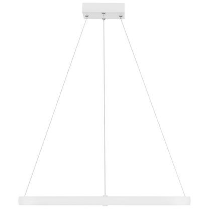 1 Light LED Pendant