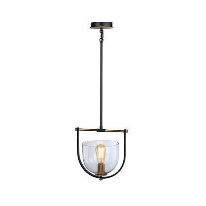 1 Light Pendant, Black