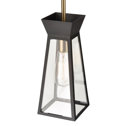 1 Light Pendant, Black