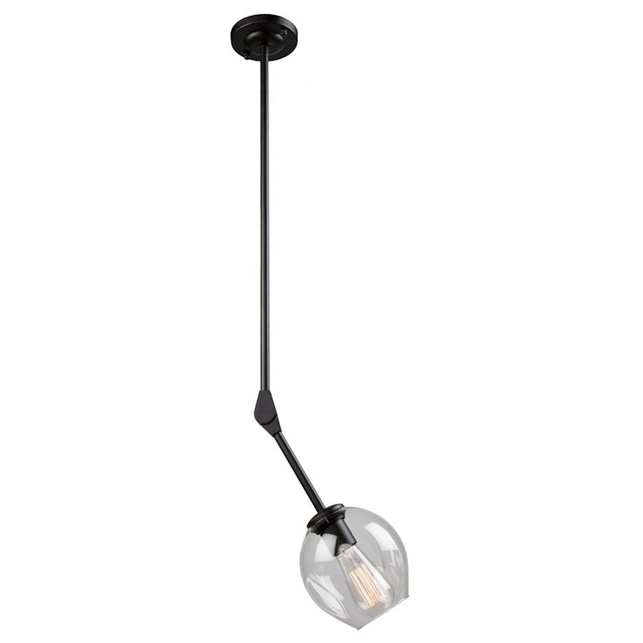 Artcraft Organic 1 Light 12" Pendant, Black - JA14020BK