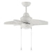Craftmade Propel II 24" Ceiling Fan/Light Kit, White - PPT24W6