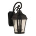 Craftmade Briarwick Medium 2 Light Outdoor Lantern, Black/Seeded - ZA3014-TB