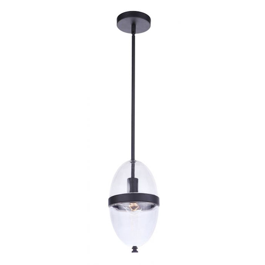 1 Light Outdoor Pendant